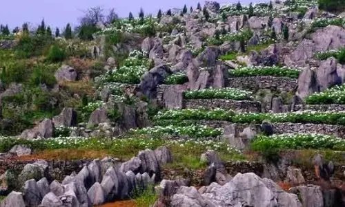 芜湖一日游必去景点