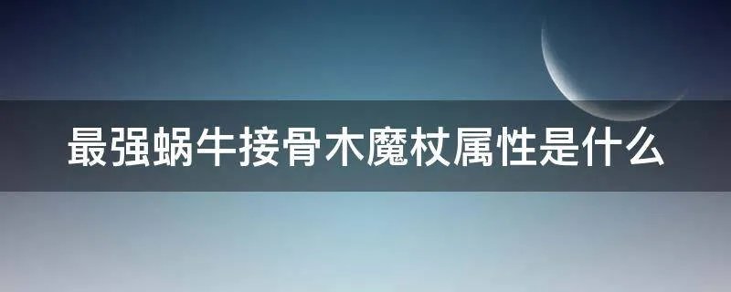 最强蜗牛接骨木魔杖属性是什么