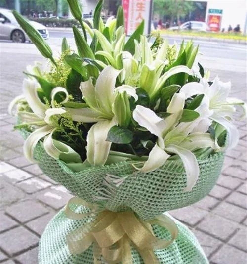 给老师送什么花比较好 不同的花代表不同的寓意