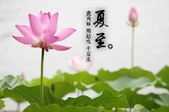 夏至诗句有哪些？