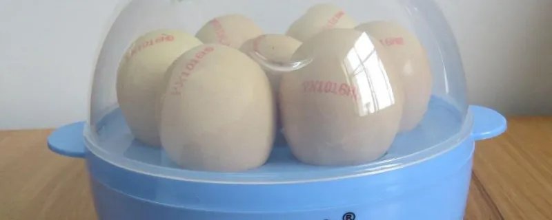 煮蛋器怎么放水