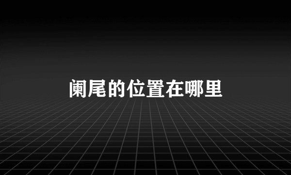 阑尾的位置在哪里