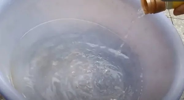 怎样正确使用藿香正气水洗头