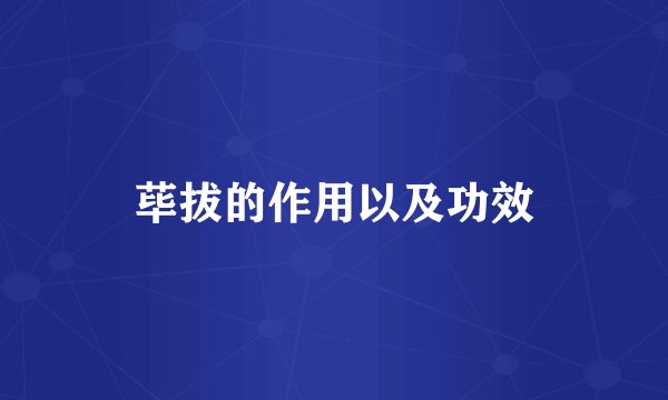 荜拔的作用以及功效