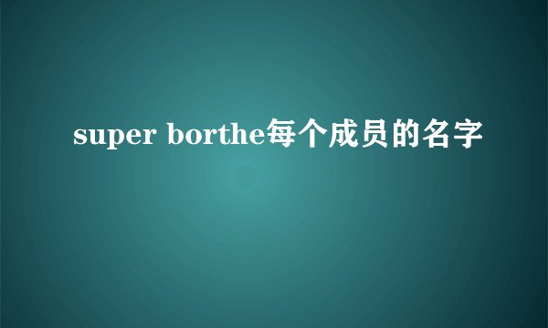 super borthe每个成员的名字