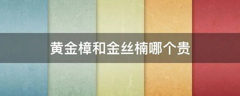黄金樟和金丝楠哪个贵