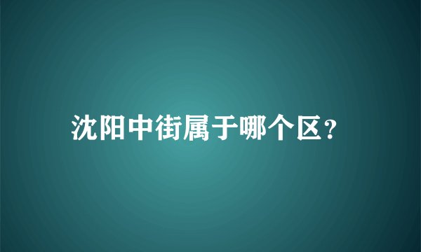 沈阳中街属于哪个区？