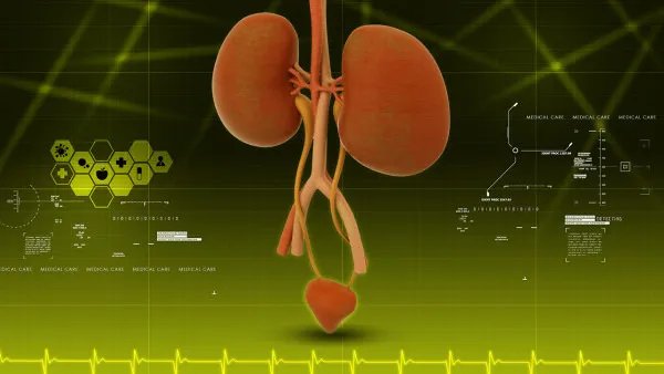 肾盂肾炎的症状有哪些