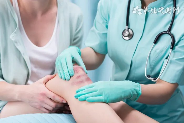 狗狗的急救措施包扎