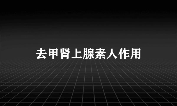 去甲肾上腺素人作用