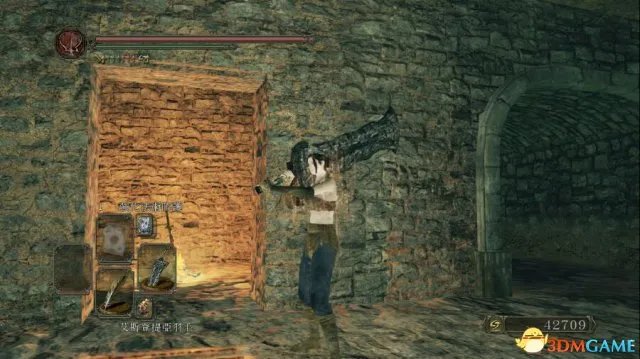 黑暗之魂2原罪学者全隐藏门位置一览 隐藏门在哪