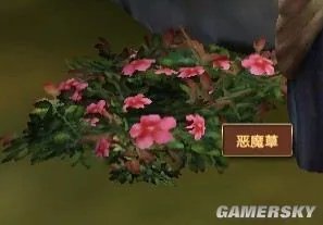 《模拟人生：中世纪》草药种类及分布图