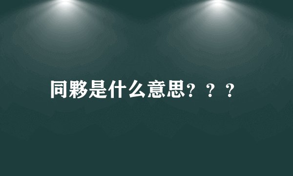 同夥是什么意思？？？