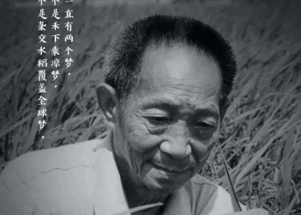 袁隆平什么时候去世的