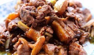 家常炖鸭子的做法大全 家常炖鸭子怎么做好吃