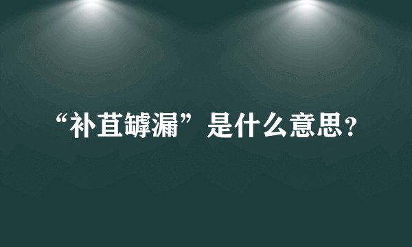 “补苴罅漏”是什么意思？