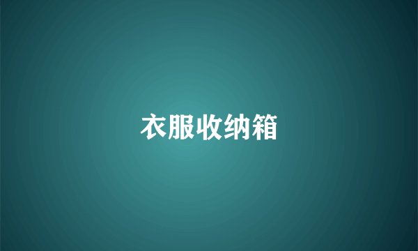 衣服收纳箱