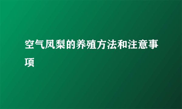 空气凤梨的养殖方法和注意事项