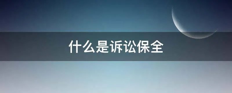 什么是诉讼保全