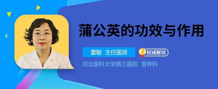 蒲公英的功效与作用