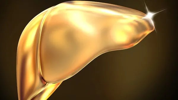 乙肝病毒携带者和乙肝患者有什么区别