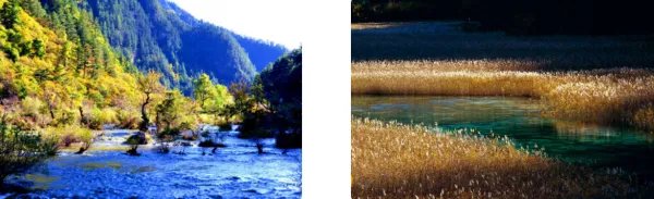 九寨沟在什么地方？附近有机场吗？离哪最近的飞机场在那