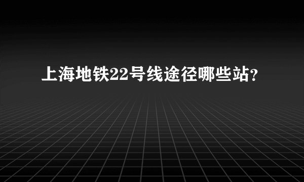 上海地铁22号线途径哪些站？