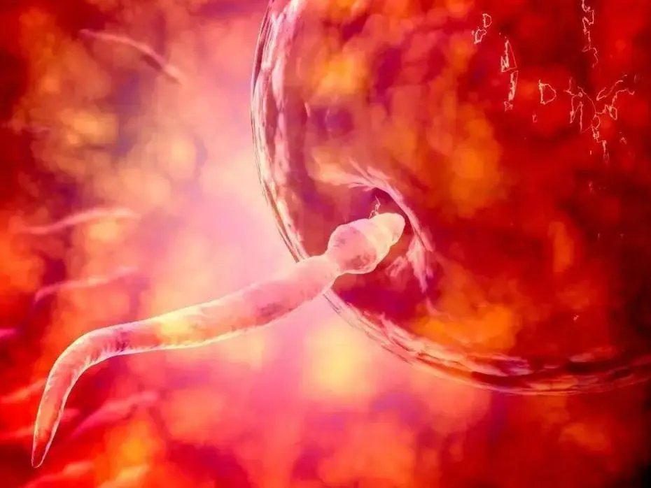 三代试管婴儿基因筛查-三代试管婴儿不会得白血病？ 不确定！导致白雪公主病的后天因素也很多