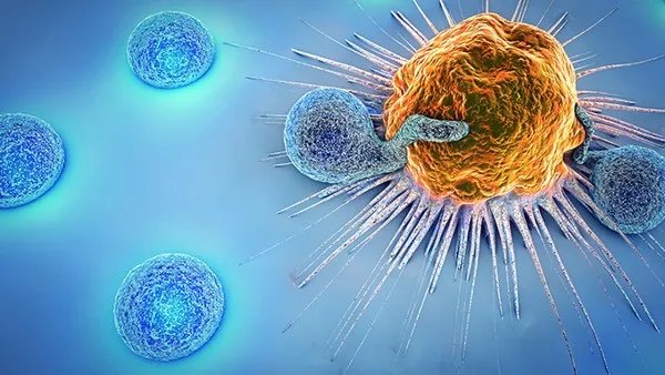 来月经可以接种新冠疫苗吗？新冠疫苗接种禁忌症有哪些？