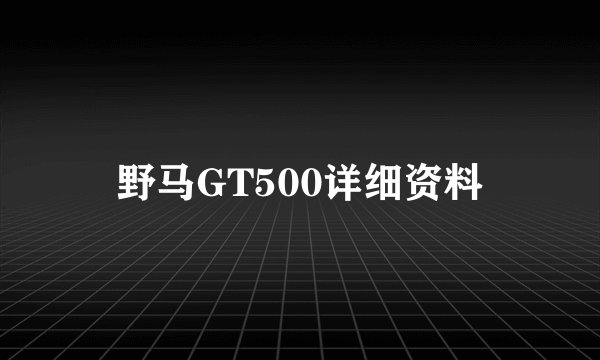 野马GT500详细资料