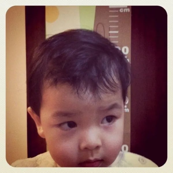 扬扬得意的介绍