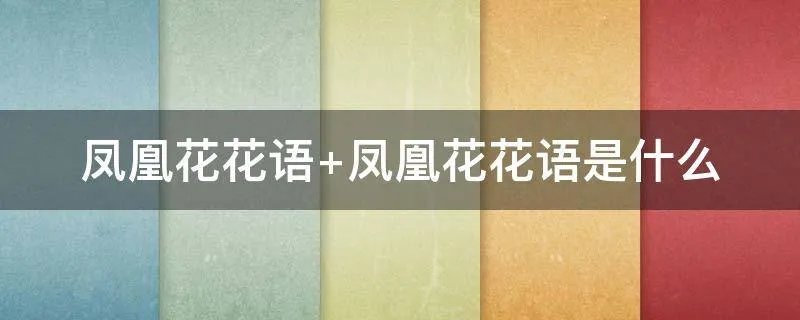 凤凰花花语 凤凰花花语是什么