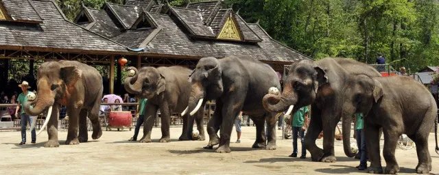 西双版纳简介 西双版纳介绍