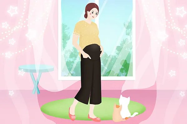 孕妇什么时候开始补钙