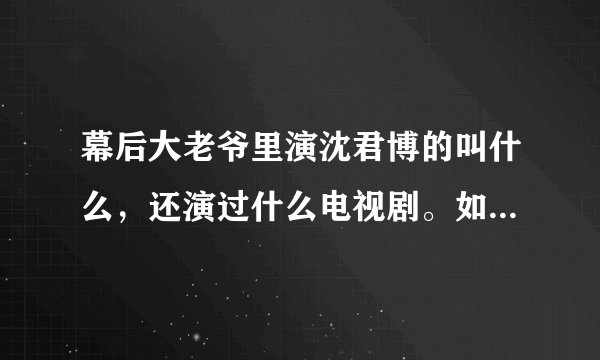 幕后大老爷里演沈君博的叫什么，还演过什么电视剧。如题 谢谢了