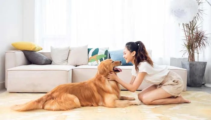 宠物消毒剂十大品牌排行榜 十大宠物消毒液