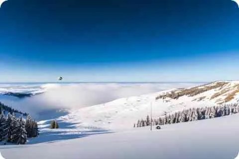  ... 族是中国的吗