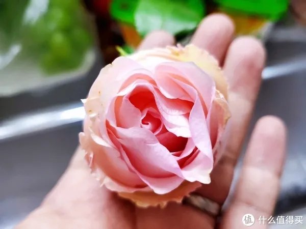 美菱冰箱怎么样