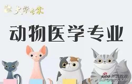 动物医学就业前景？