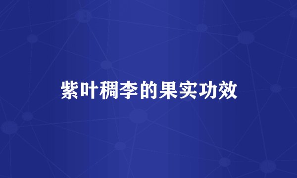 紫叶稠李的果实功效