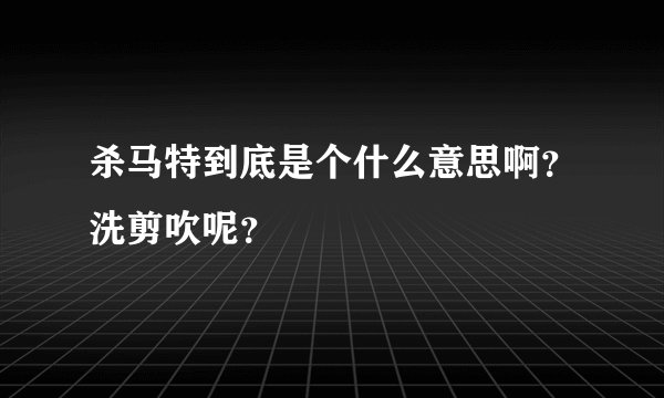 杀马特到底是个什么意思啊？洗剪吹呢？
