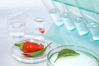 汗斑净喷剂是什么颜色   汗斑为何老是复发