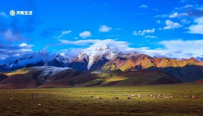 出塞古诗的意思