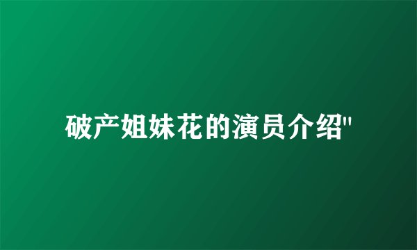 破产姐妹花的演员介绍