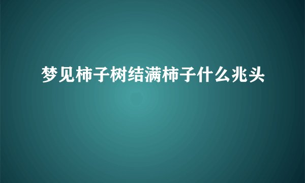 梦见柿子树结满柿子什么兆头