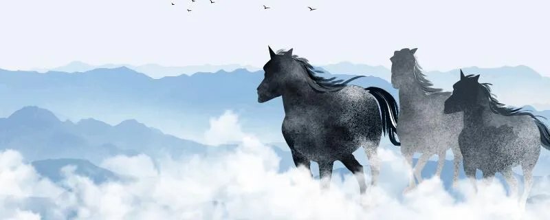 属马几月出生好 几月出生的马最好命