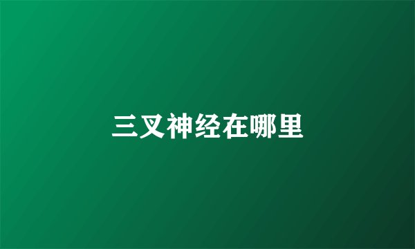 三叉神经在哪里