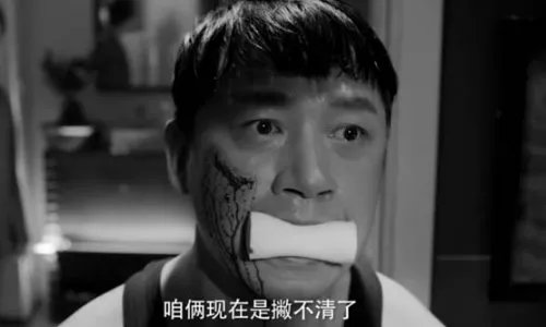 白夜追凶结局是什么意思？