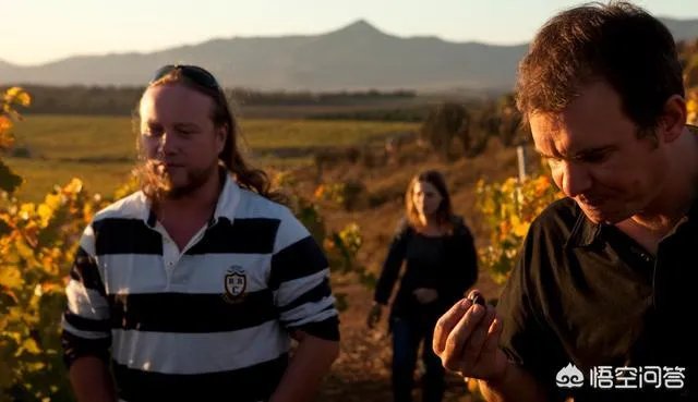 如何酿酒才能酿出想要的度数？