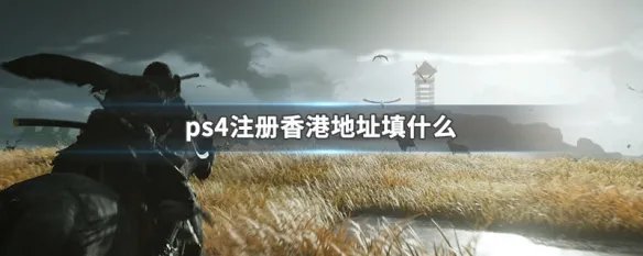 ps4注册香港地址填什么